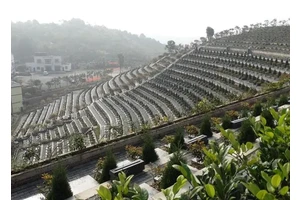 崇兴生命纪念园