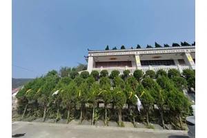 龙台山陵园建筑景观怎么样？园区管理好不好？