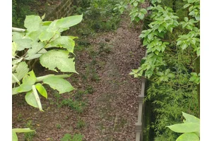 龙车寺塔陵园 重庆龙车寺塔陵园