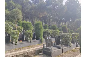 南岸区惠民殡葬