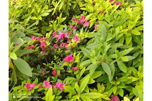 重庆云篆山公墓，服务优势