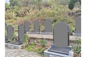 文明殡葬践行活动