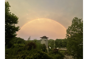 井口安乐堂成功运营