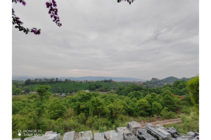 沙坪坝区金竹山公墓地理位置