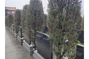 重庆华夏陵园简介