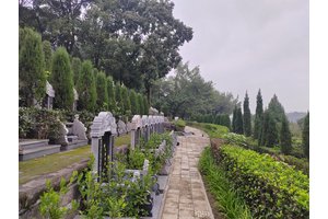 顺其自然，避免定时火化