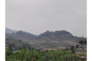 大渡口殡葬优质服务