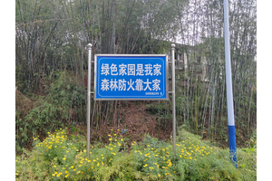 龙居山公墓环境，山形地貌