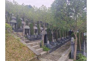 公墓安葬的结构