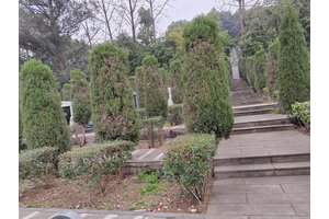 福果山生命纪念园祭扫服务