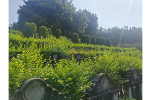 沙坪坝区井口便民殡葬