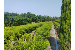 巴南区辖区的殡葬单位