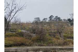 金竹山公墓的历史来源