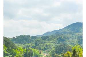 重庆市九龙陵园管理费到期提醒