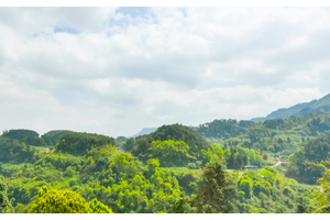 璧山区金剑山公墓管理费到期提醒