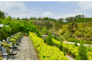 重庆市遗体接运费减免的意义