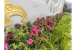 沙坪坝区金竹山公墓的交通情况