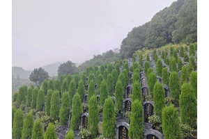 九龙坡区墓地怎么选择