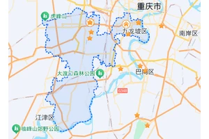 九龙坡区