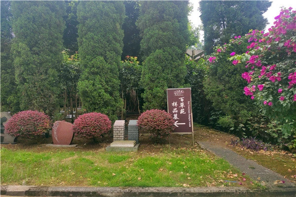 da4a7cc94aa6a7ac02ab164ff3d46036_1744939075122111