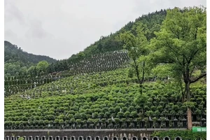 重庆仙居山陵园推出特价墓位