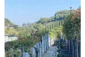 2026春节祭扫 温馨提醒