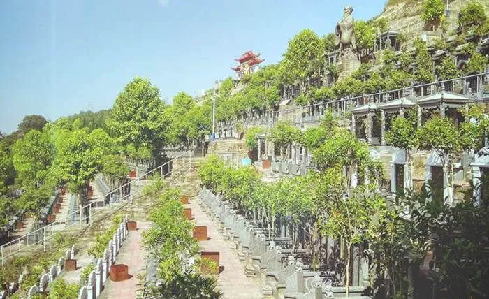 8d7610f9f8c88ed91e257aaf45b91955_0-naFi5J