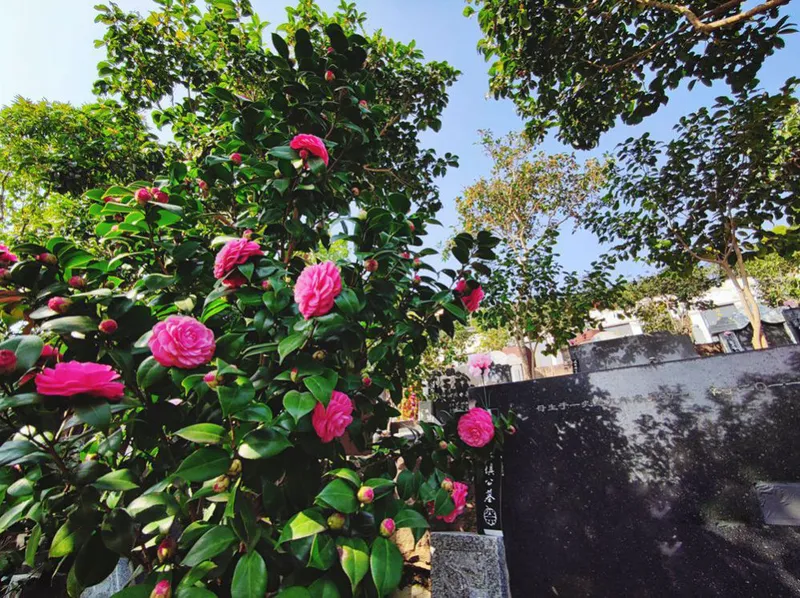 948fe065a115667a8763467404ae6003_0-boibqo