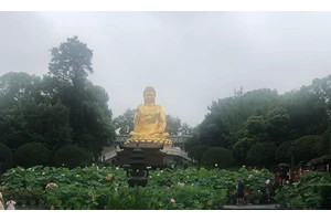 合川高歇公墓销售