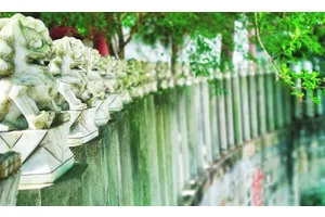 公墓服务提供的内容