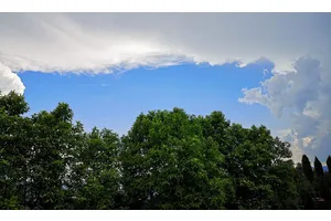 大足区灵鹤山公墓