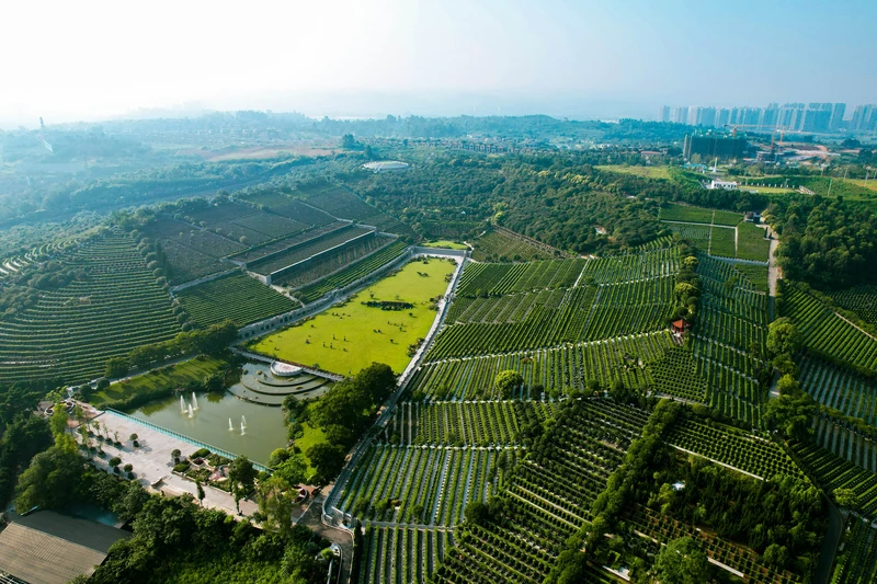 bdb4141f12e6a6773da53a4adf2f2bd6_03Sm5YLJSQ62hm4A2HzuRg_tenantId=245073&viewType=1&k=1687745892000