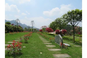 感悟人生，礼赞生命