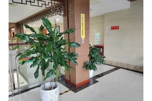 西部丧葬用品是什么