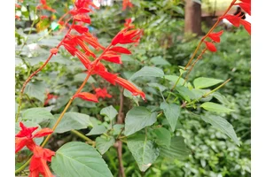 渝北区颐安堂殡仪馆
