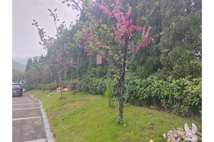 文明殡葬，共建美好家园