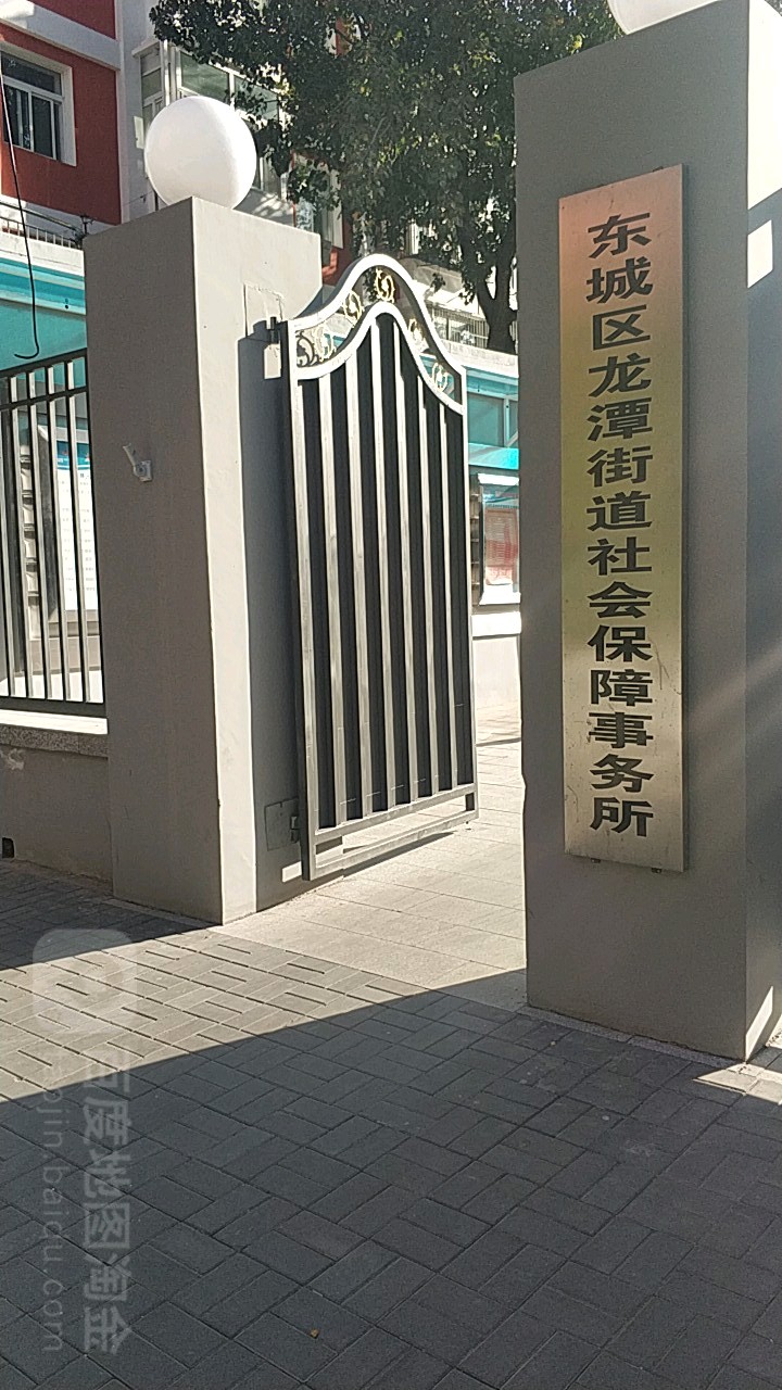 广州宠物殡葬服务_宠物殡葬服务定位_江北区殡葬服务